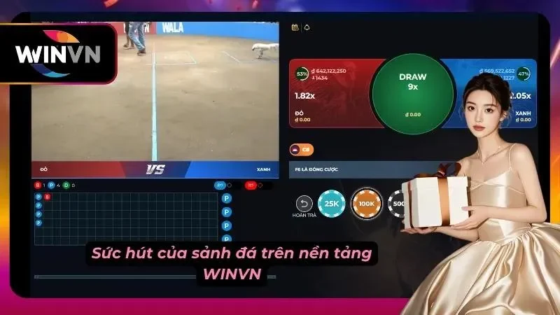 Giao diện cược trực tuyến WINVN với khung video, lựa chọn DRAW 9x và các tỷ lệ hiển thị.