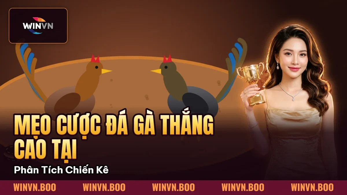 Mẹo Cược Đá Gà Thắng Cao Tại WINVN – Phân Tích Chiến Kê Mẹo Cược Đá Gà Thắng Cao Tại WINVN – Phân Tích Chiến Kê