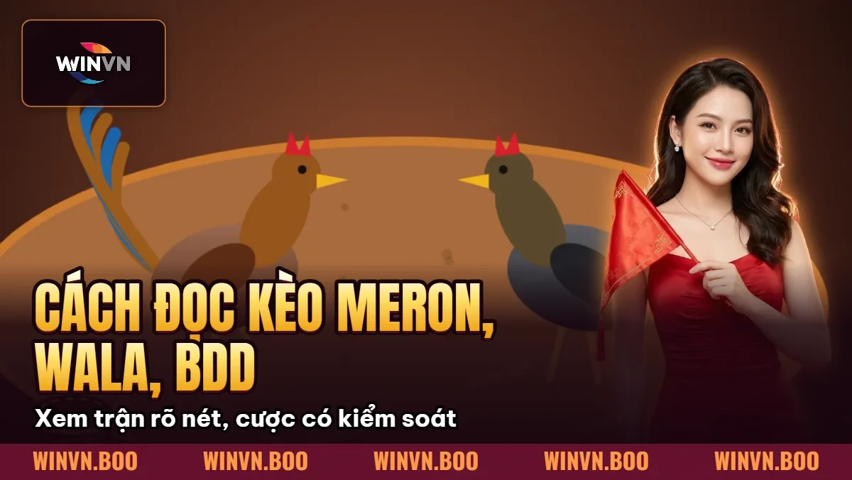 Cách Đọc Kèo Meron, Wala, BDD Trong Đá Gà Cách Đọc Kèo Meron, Wala, BDD Trong Đá Gà